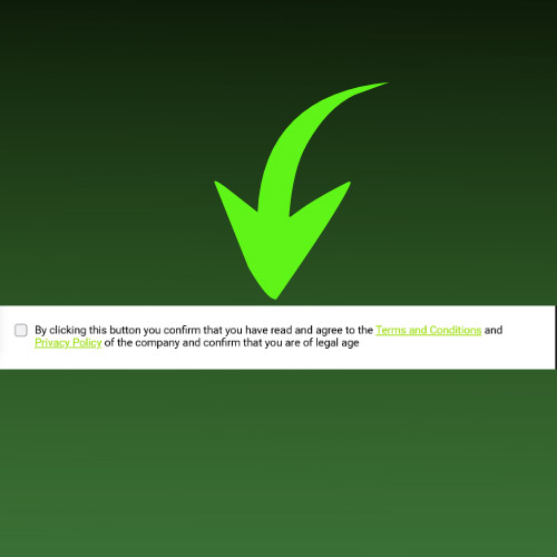 Agree to the terms and conditions of the WinWin site